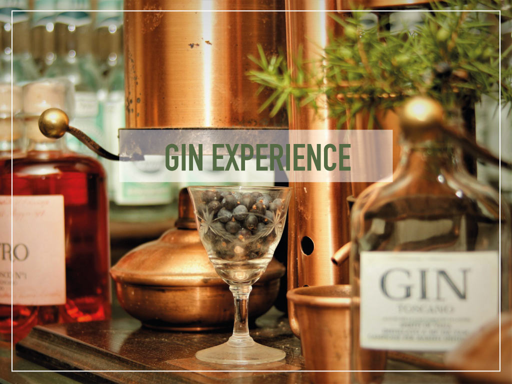 GIN-EXPERIENCE